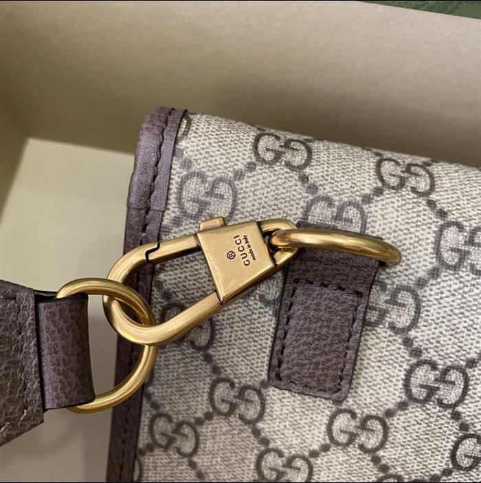 202529C489617N164017533