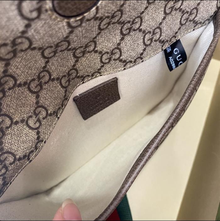 202529C489617N164017548