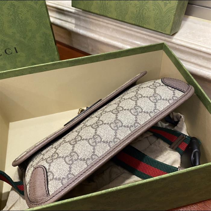 202529C493930N164017657