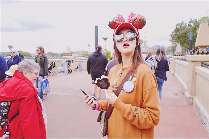 202529C493930N164017766