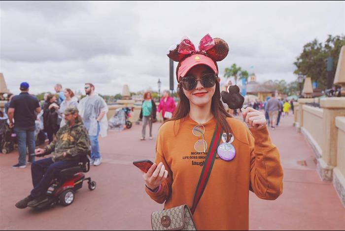 202529C493930N164017798