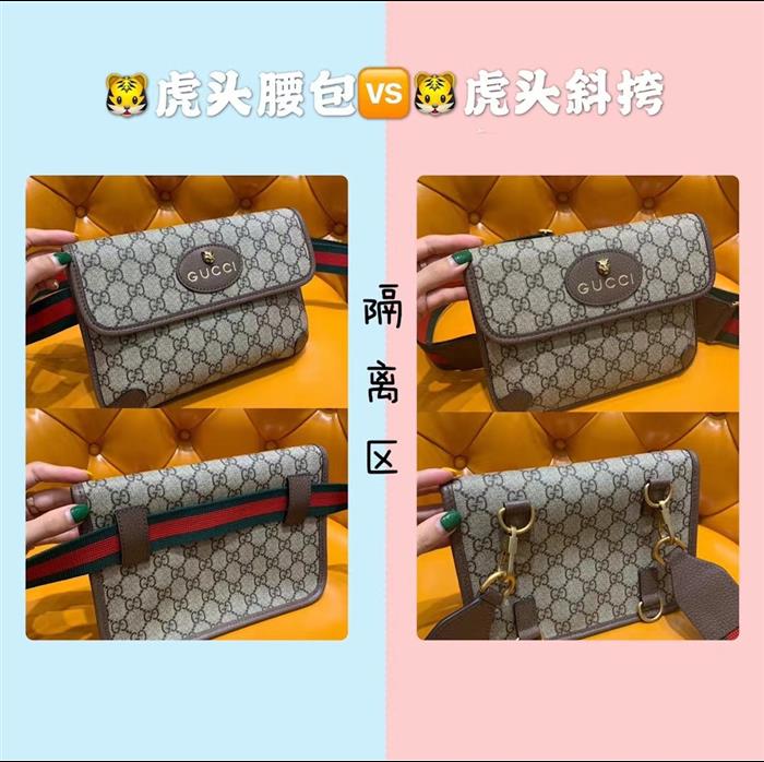 202529C493930N164017829