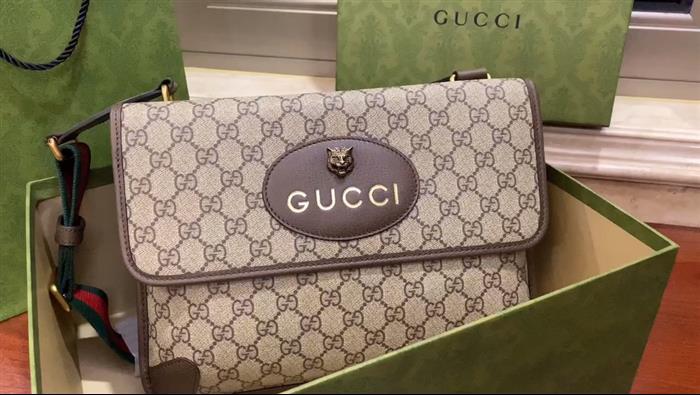 202529C495654N164017878