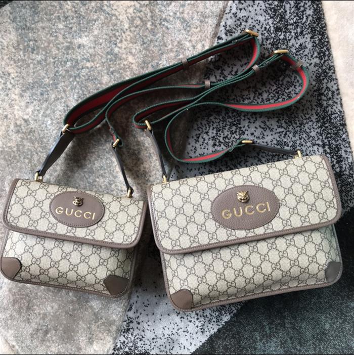 202529C495654N164017956