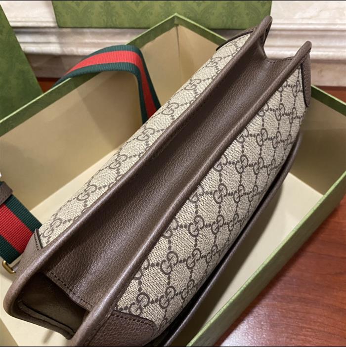 202529C495654N16401851