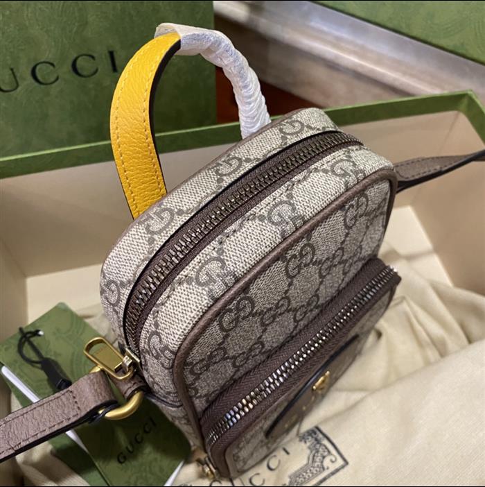 202529C658556N164019102