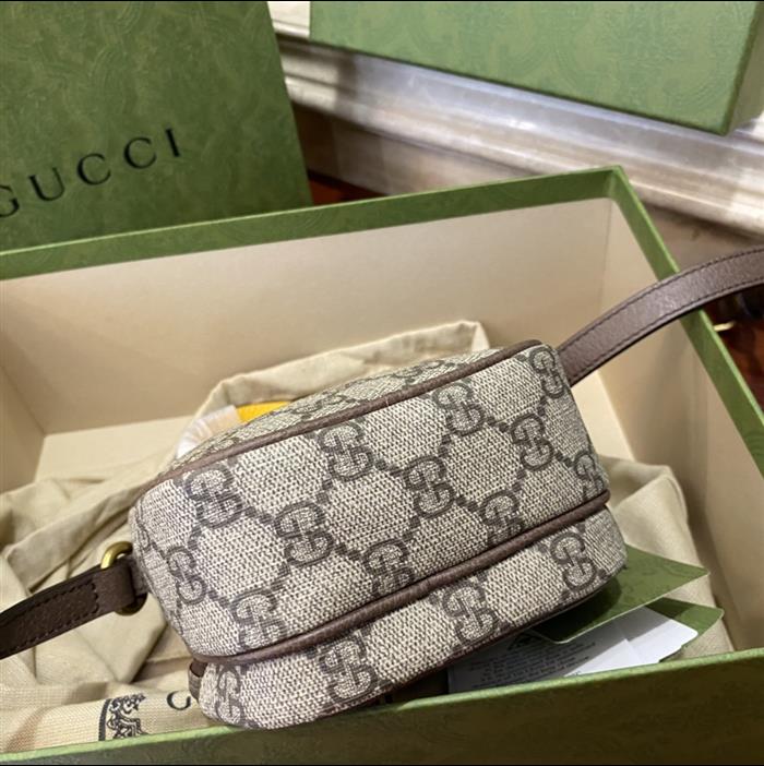 202529C658556N164019118