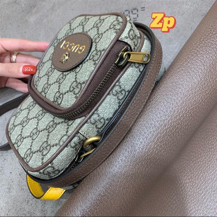 202529C658556N164019245