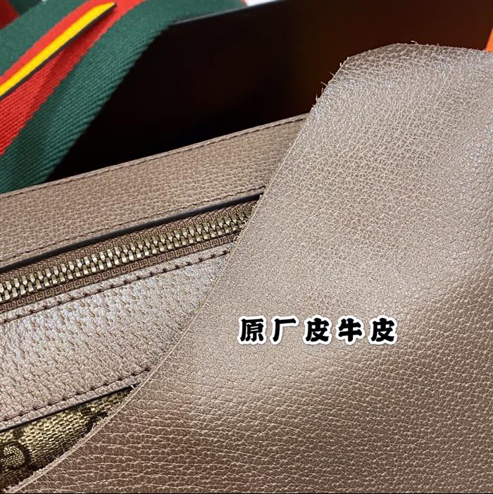 202529N476466163035265