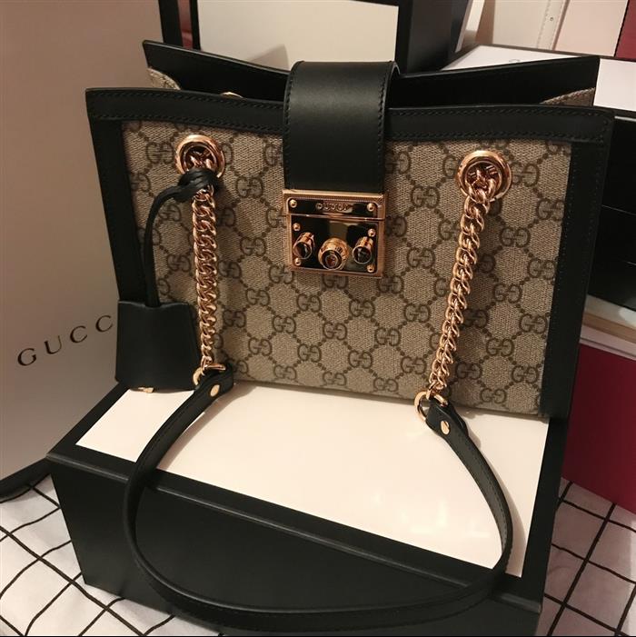 202529C498156N164025261