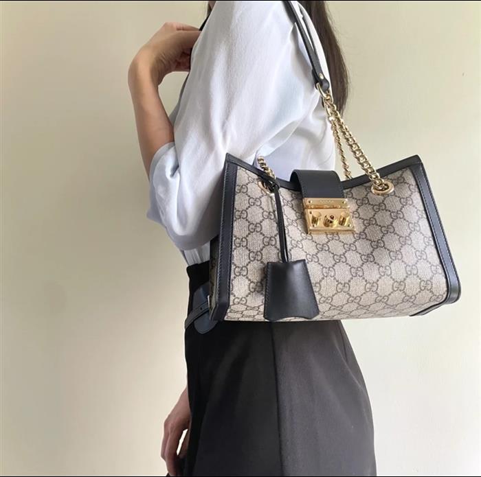 202529C498156N164025309