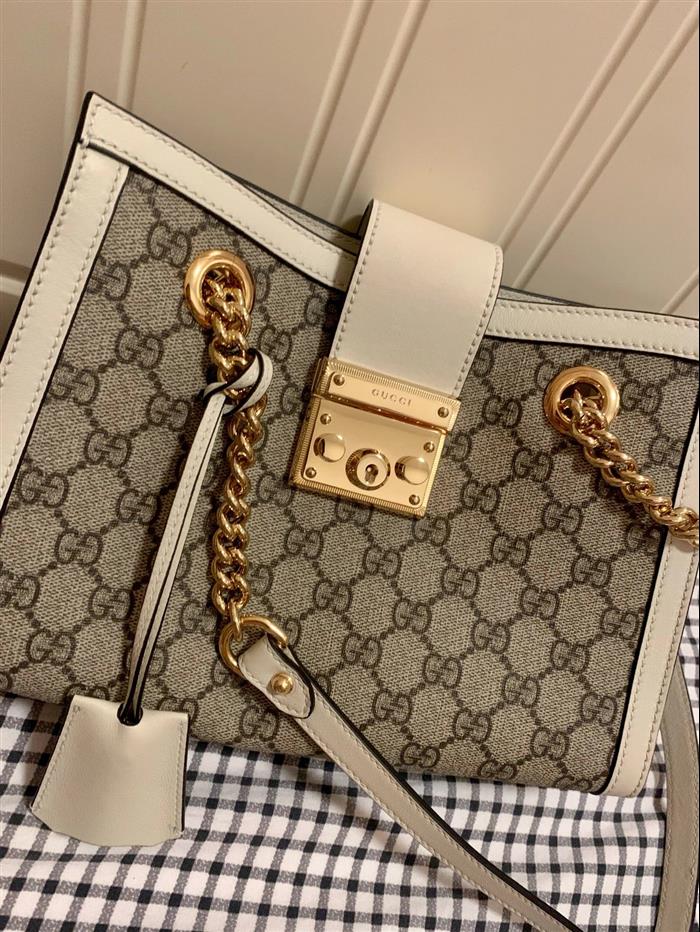 202529C498156N164025325