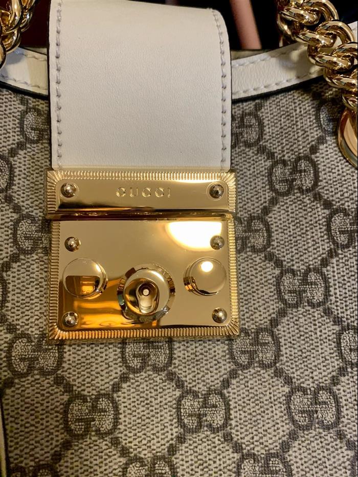 202529C498156N164025340