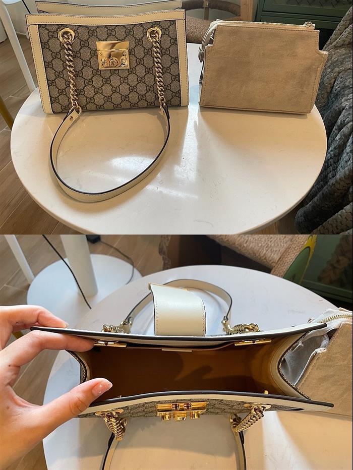 202529C498156N164025481