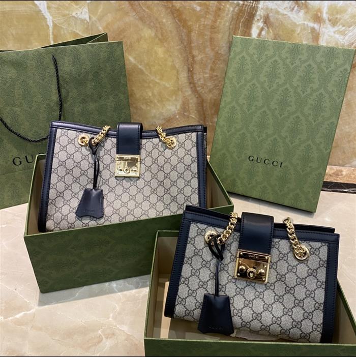 202529C498156N164025512