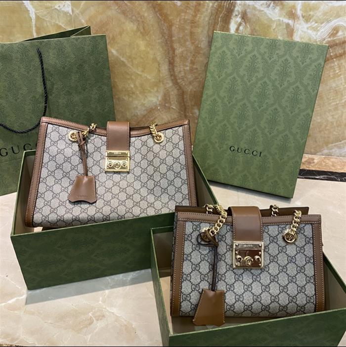 202529C498156N164025528