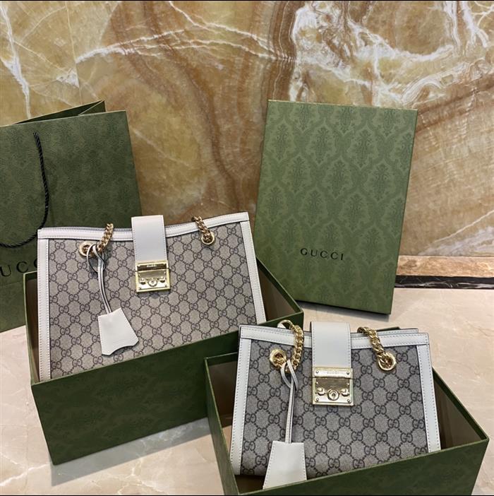 202529C498156N164025544