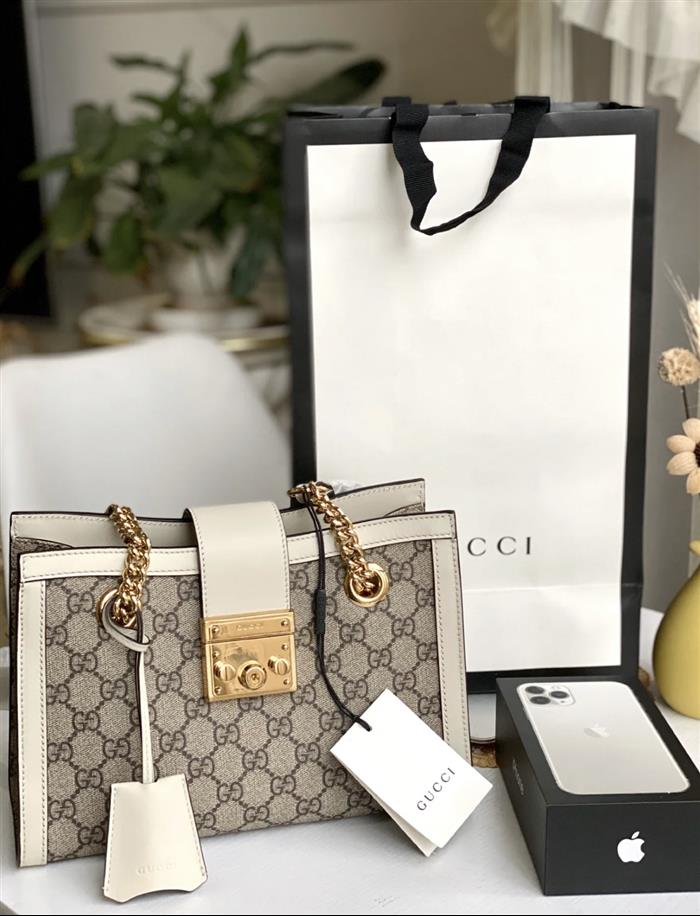 202529C498156N16402558