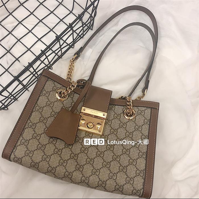 202529C498156N164025655