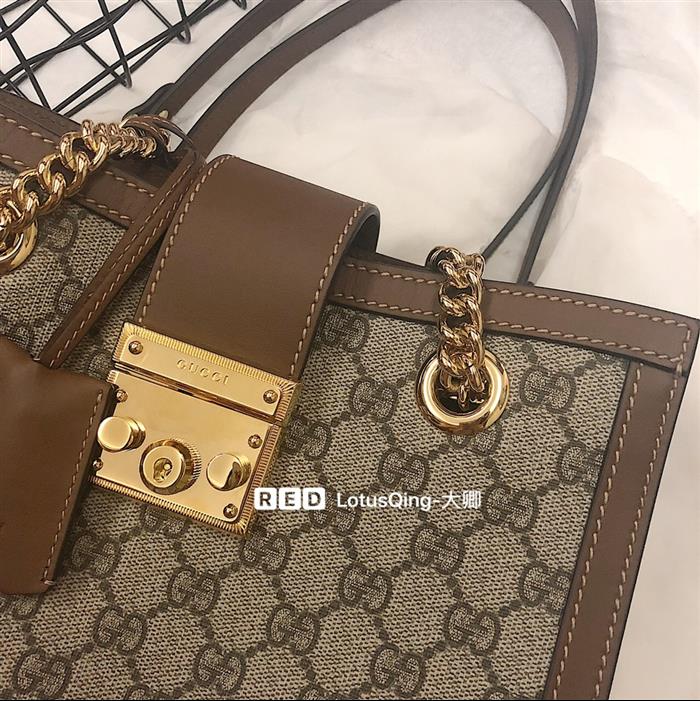 202529C498156N164025671