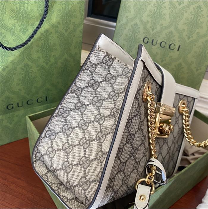 202529C498156N164025780