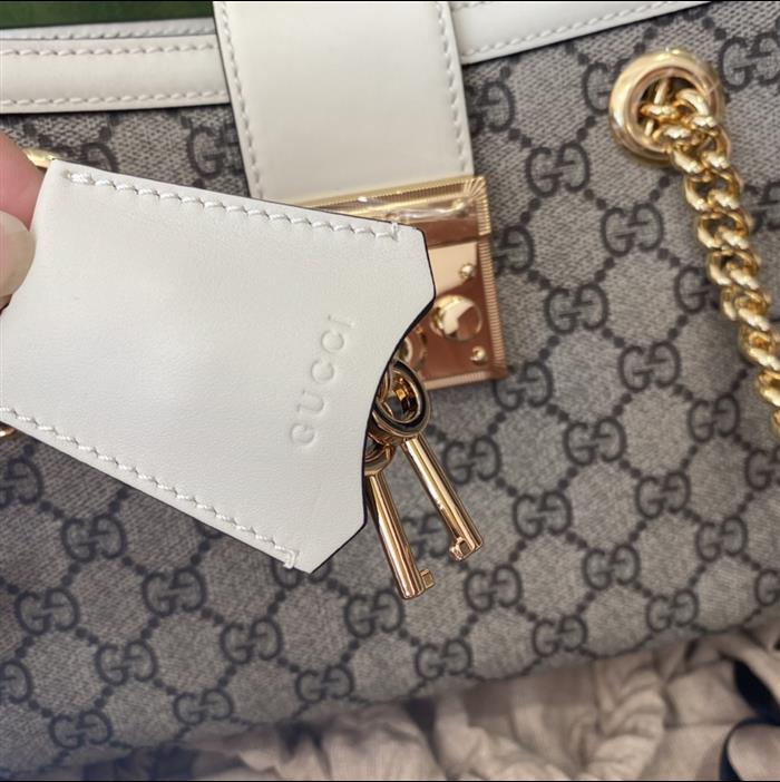 202529C498156N164025812