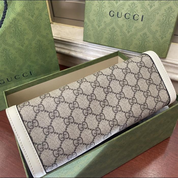 202529C498156N164025828