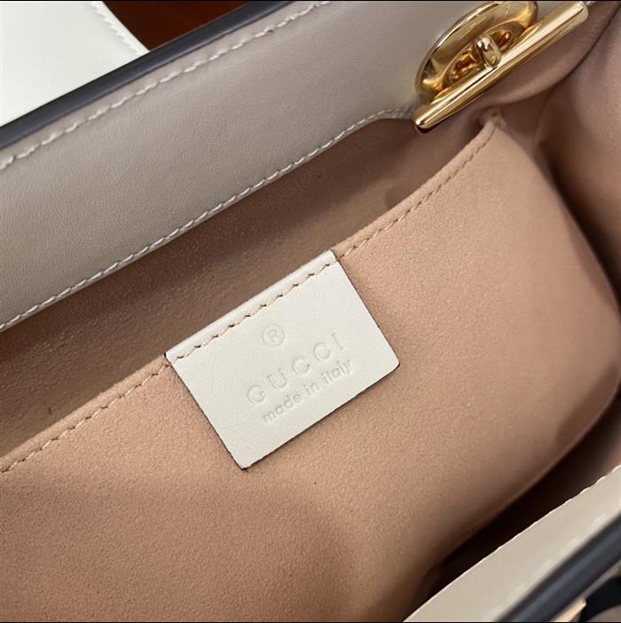 202529C498156N164025876