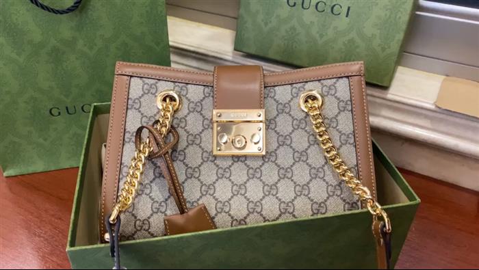 202529C498156N1640259