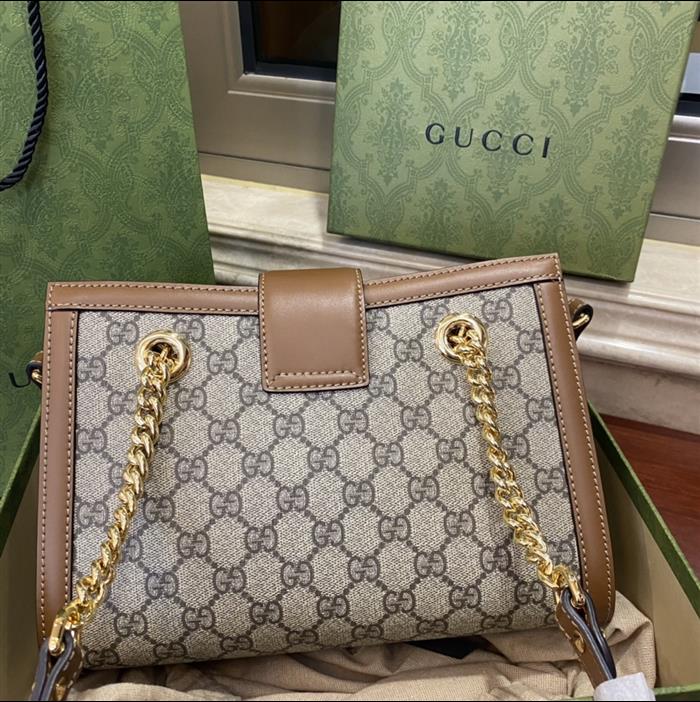 202529C498156N164025939