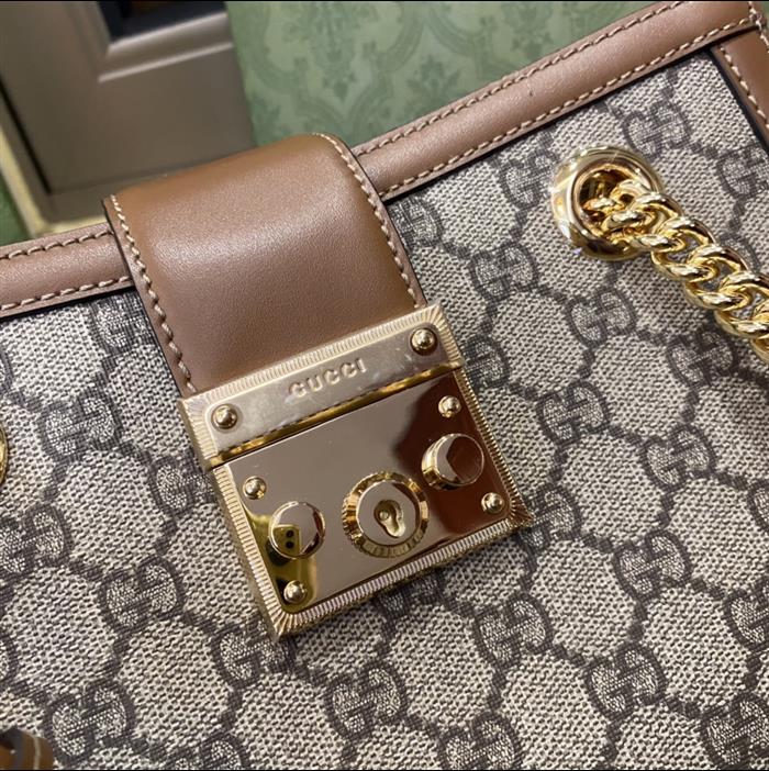 202529C498156N164025954