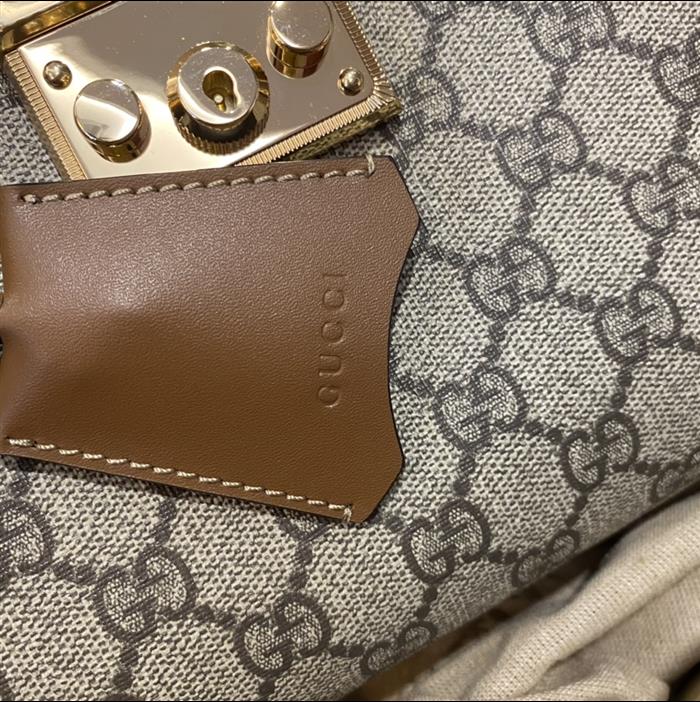 202529C498156N164025970