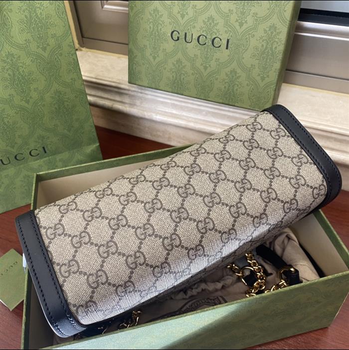 202529C498156N164026129