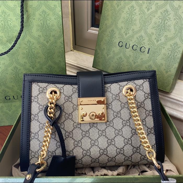 202529C498156N16402653