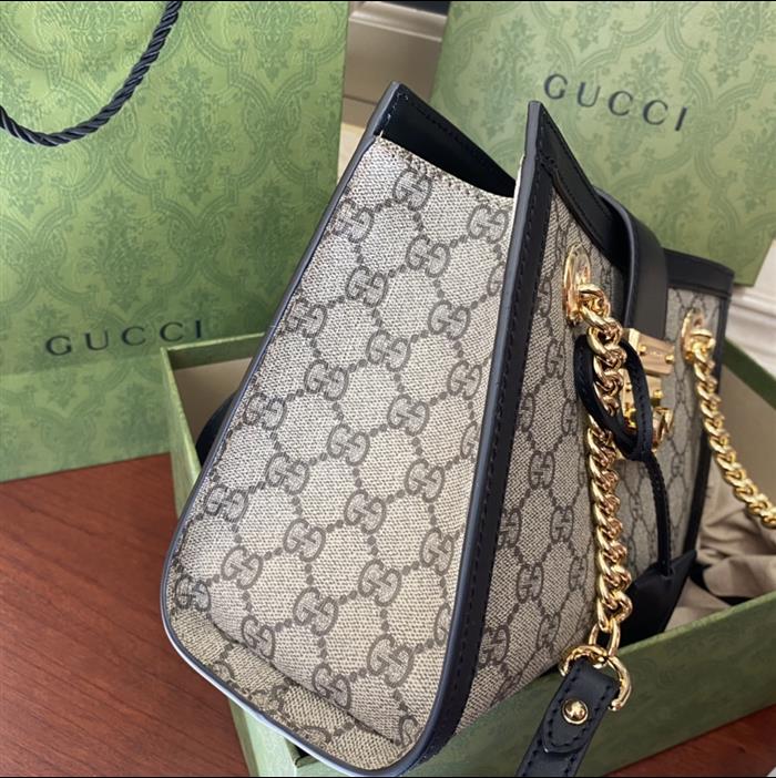 202529C498156N16402666