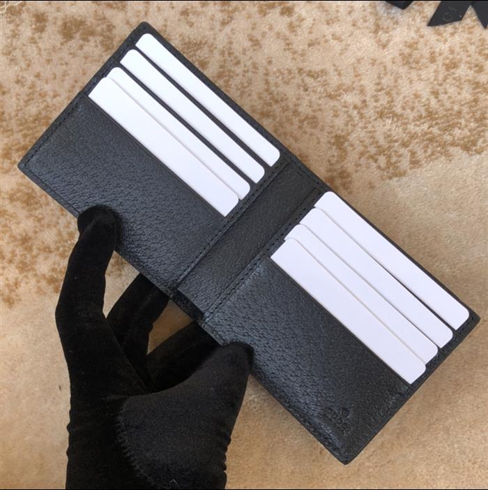 202529C523664N16405320