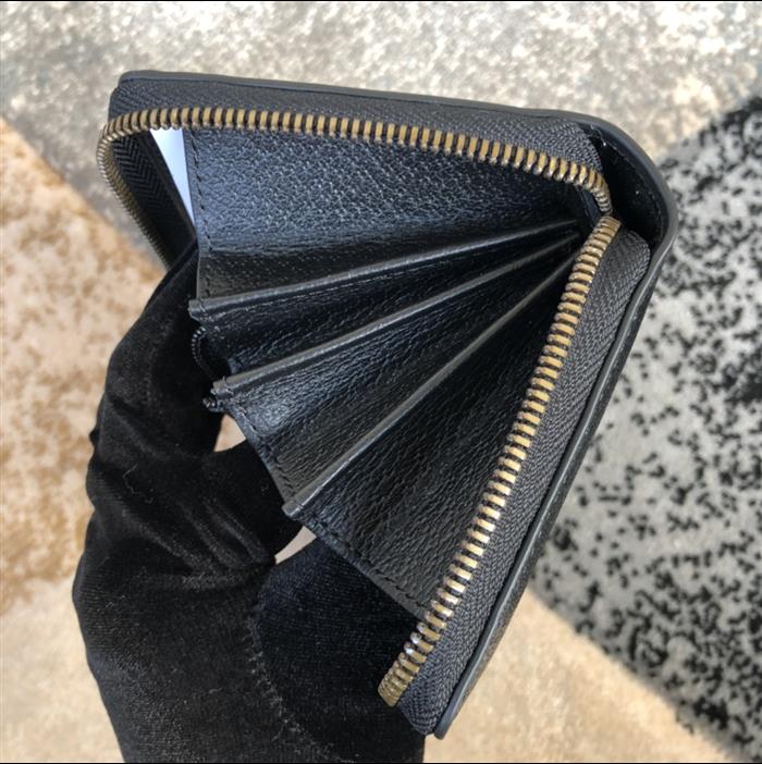 202529C523667N164053440