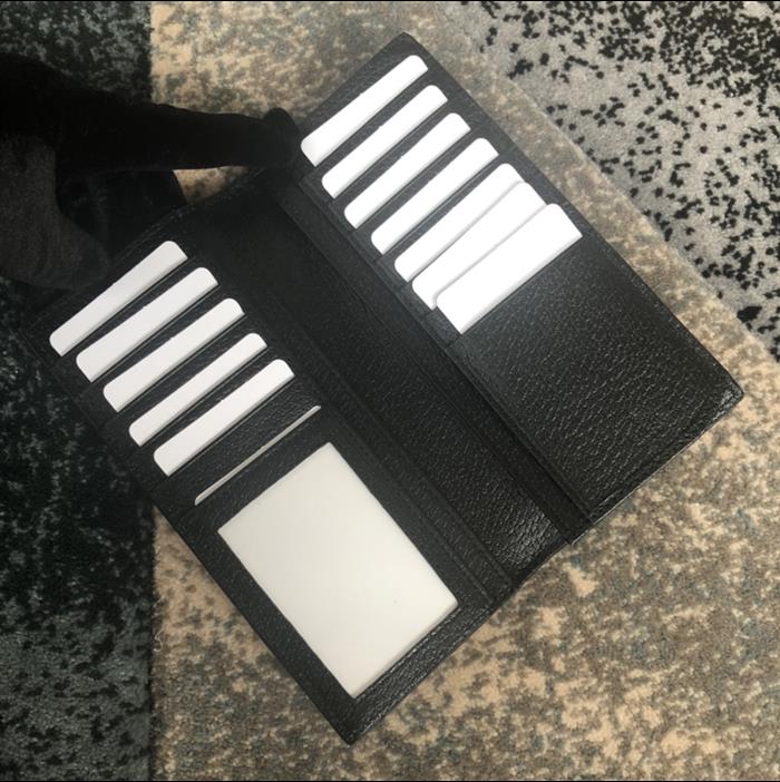 202529C523668N164053486