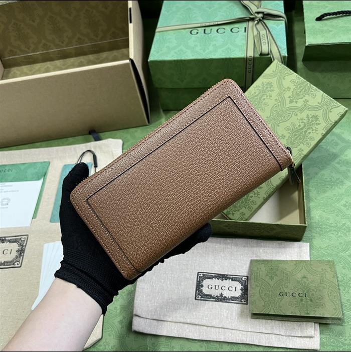 202529C658634N164055544