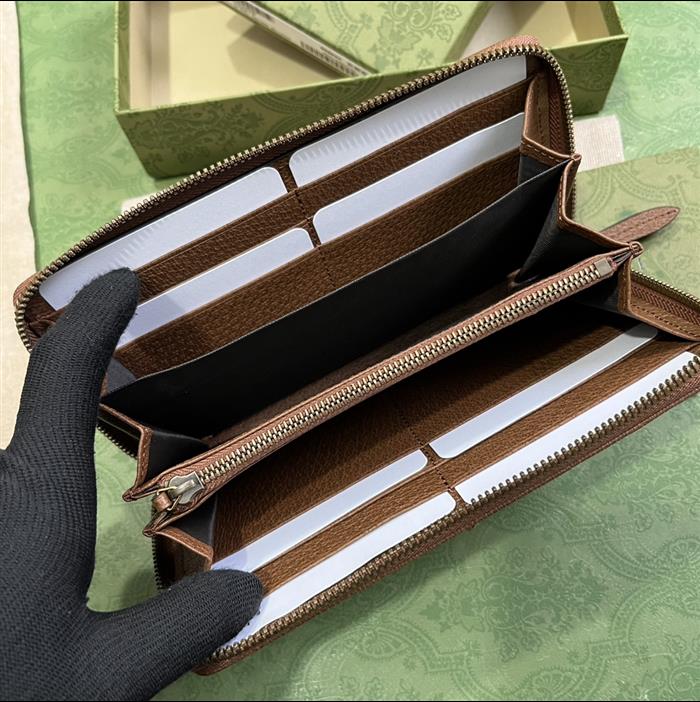 202529C658634N164055638