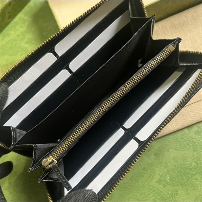 202529C658634N164055924