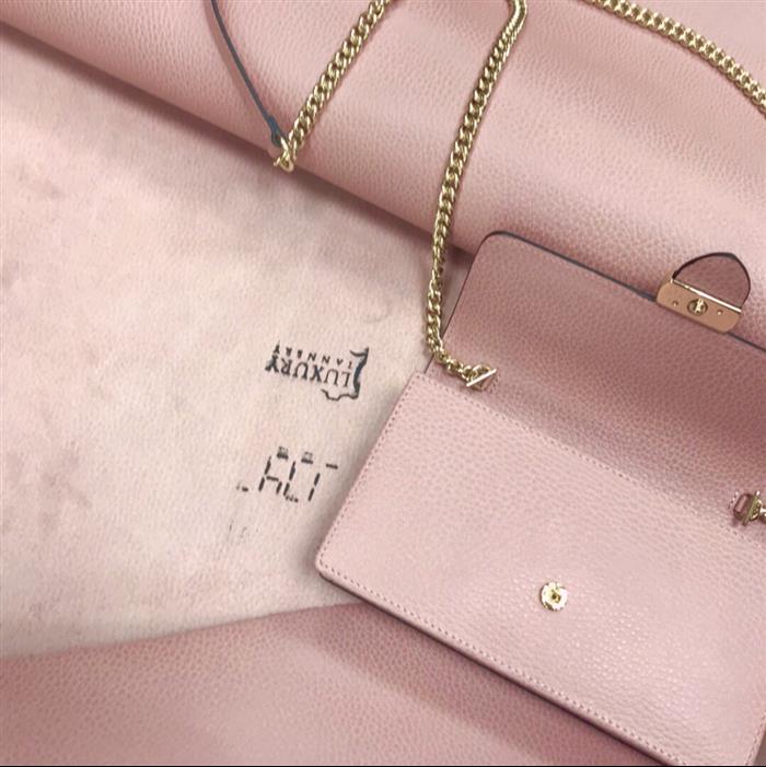 202529C510314N164049531