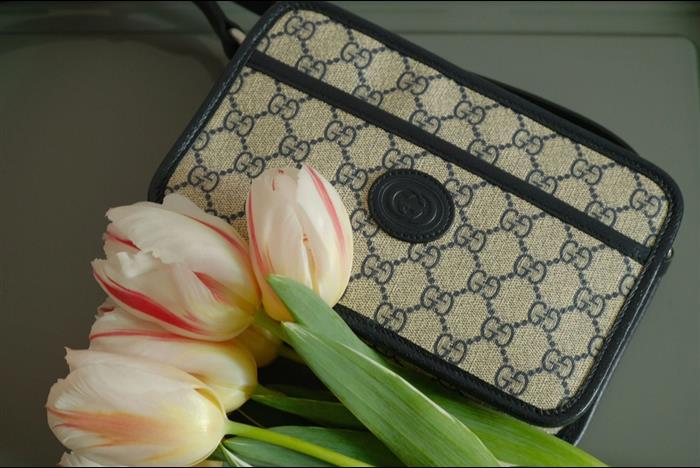 202529C658572N164049978