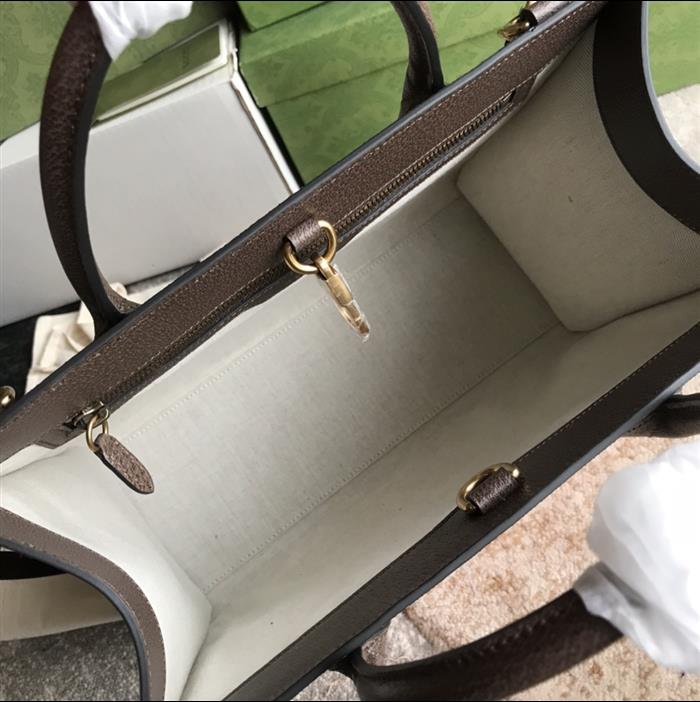 202529C659983N164052600