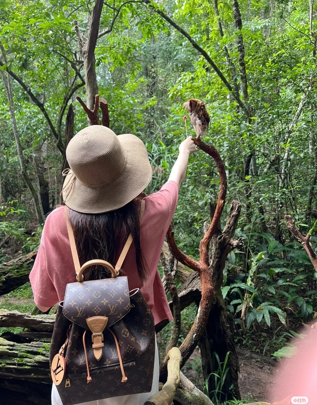 2025224M4550114254150