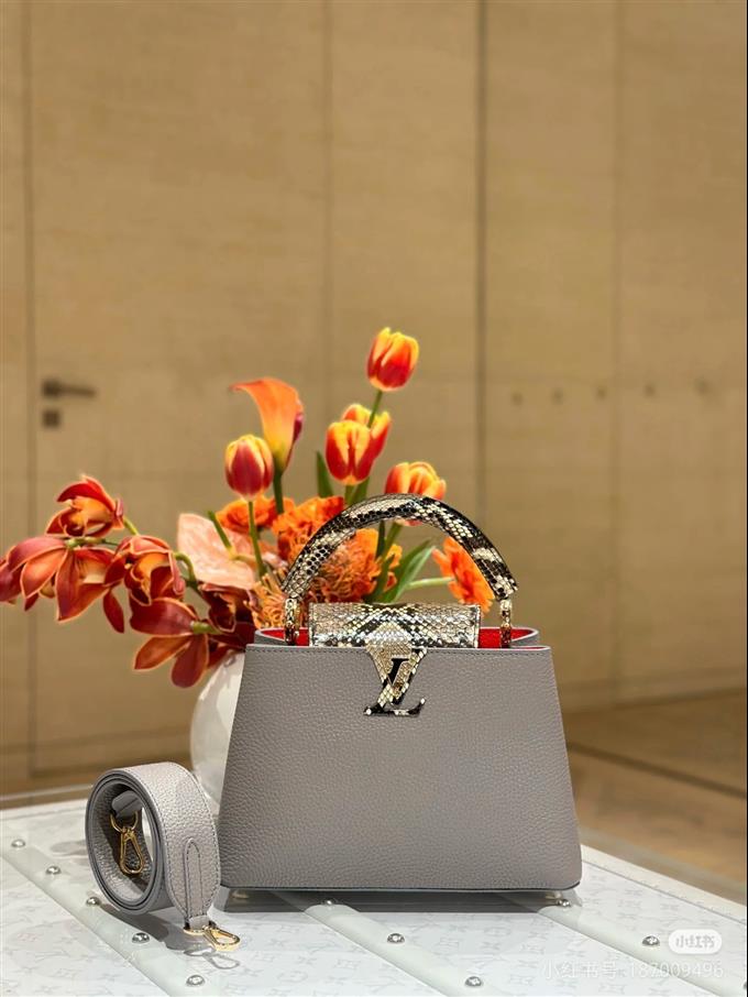 2025224N8206894845251