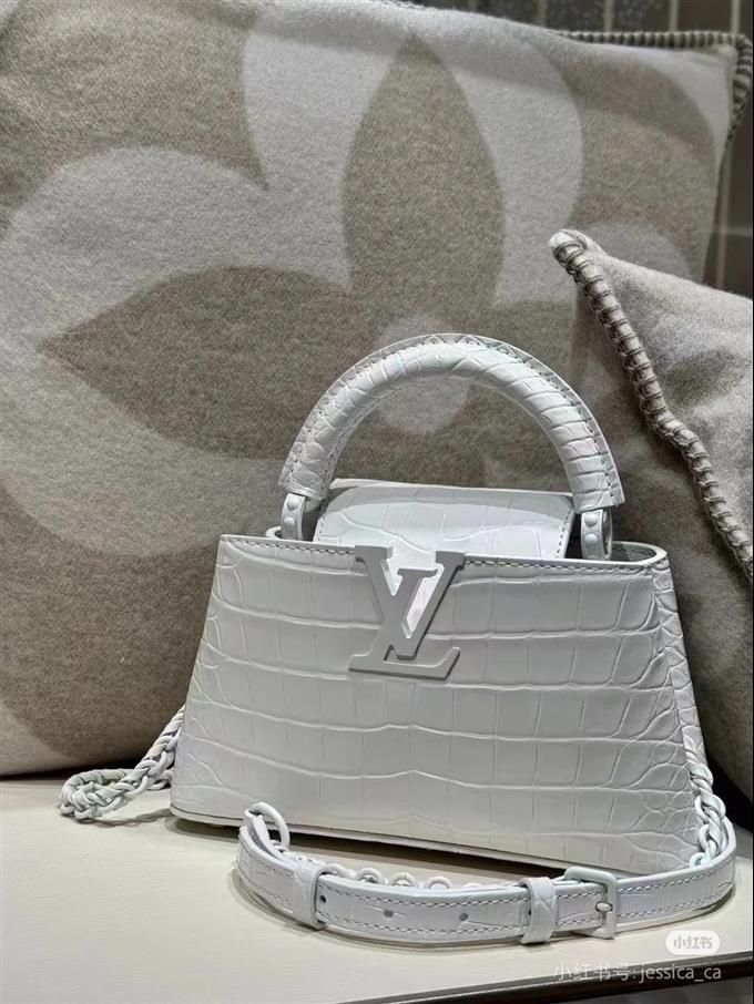 2025224N8615010326956