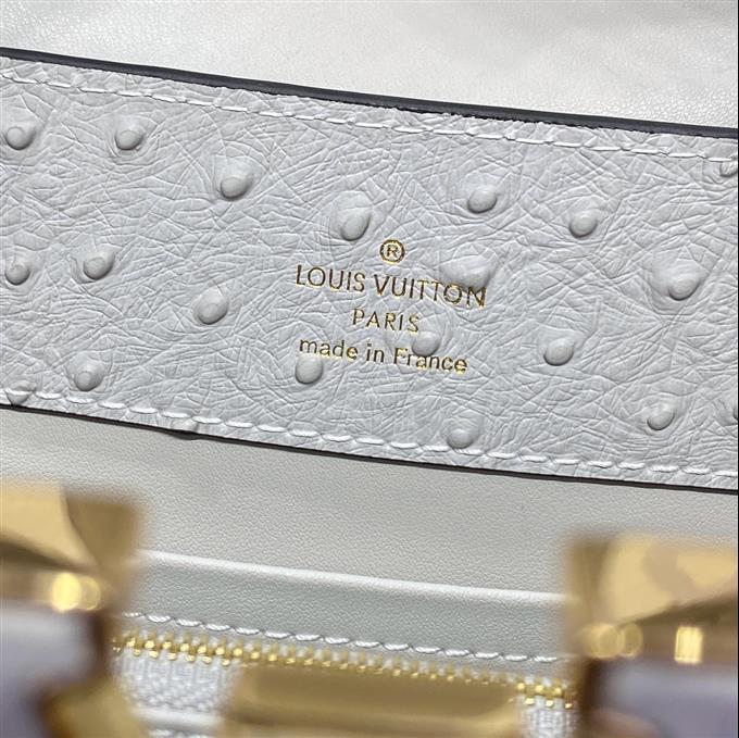 2025224M1190810310823