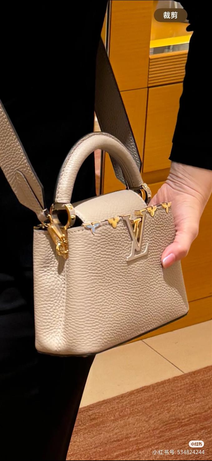 2025224M245671032351