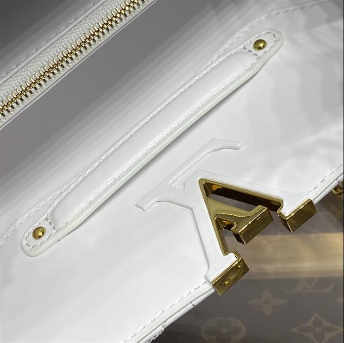 2025224M2528310323895